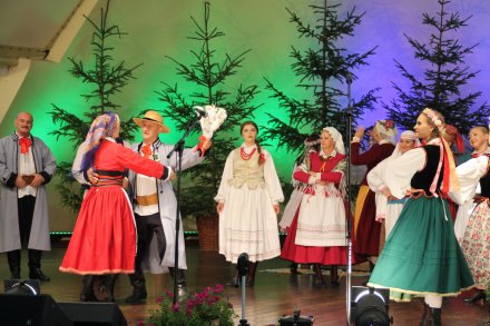 Występy konkursowe MSF